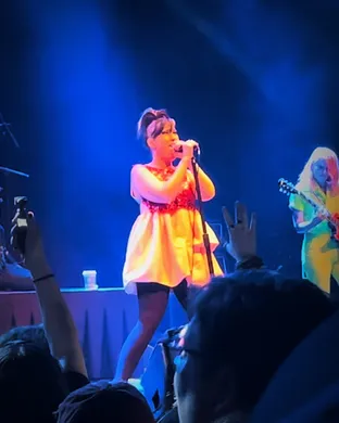 Bikini Kill Silver Spring