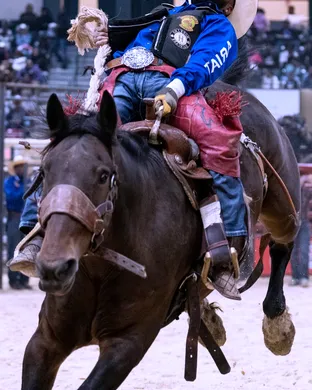 Bill Pickett Rodeo Upper Marlboro
