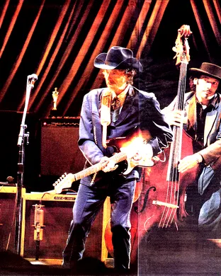 Bob Dylan Vienna