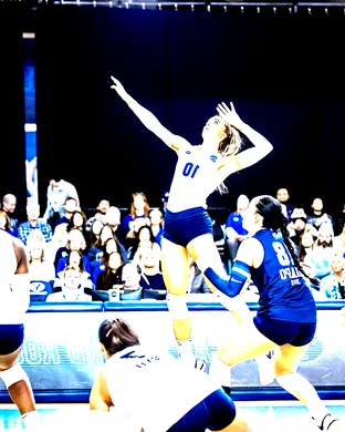 Byu Cougars Volleyball Provo