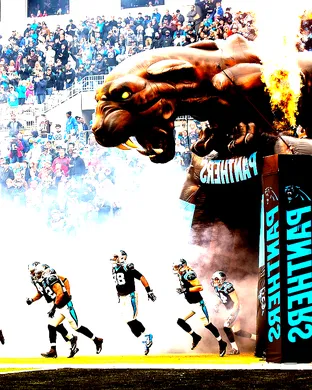 Carolina Panthers Charlotte