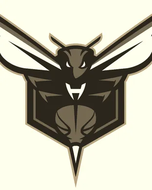 Charlotte Hornets Charlotte