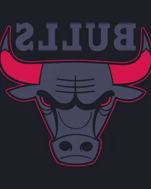 Chicago Bulls Chicago