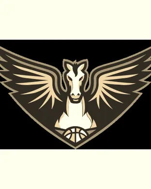Dallas Wings Washington