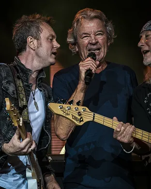 Deep Purple Assago