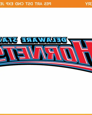 Delaware State Hornets Washington