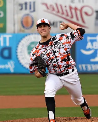Delmarva Shorebirds Fredericksburg