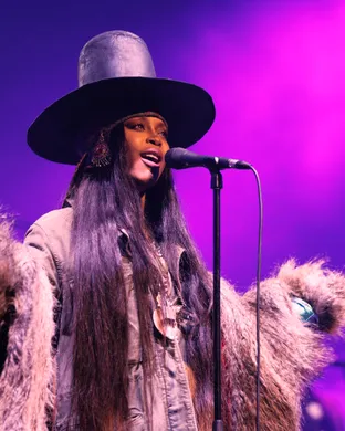 Erykah Badu Vienna