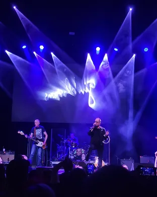 Gin Blossoms Vienna