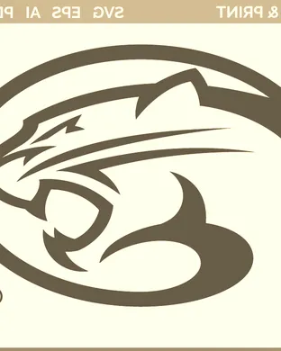 Houston Cougars Houston