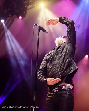 Men Without Hats Leesburg