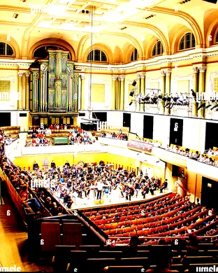 National Symphony Orchestra: Lizzo