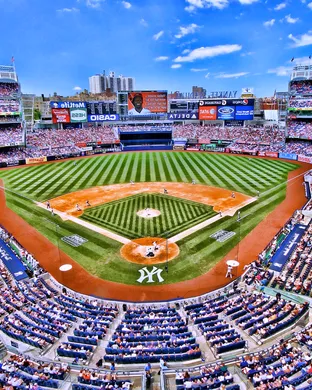 New York Yankees Baltimore