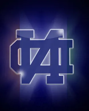 Notre Dame Fighting Irish Foxborough