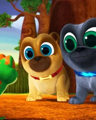 Puppy Pals Fredericksburg