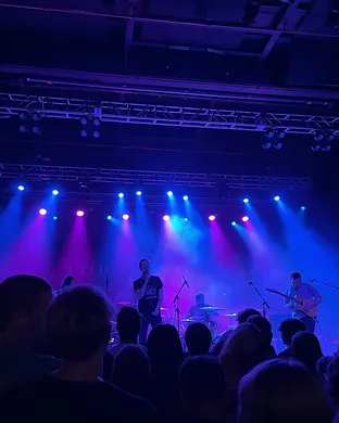 Royal Coda Baltimore