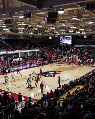 Stony Brook Seawolves Towson
