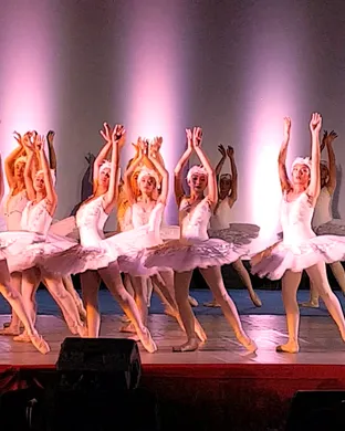 Swan Lake Baltimore