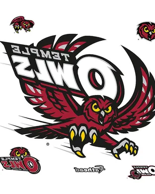 Temple Owls Annapolis