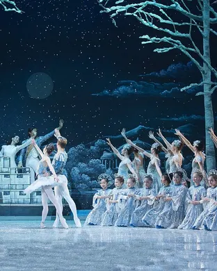 The Washington Ballet Washington