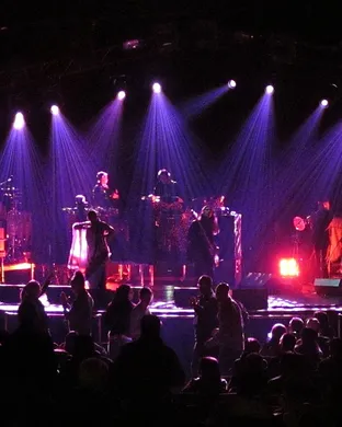 Thievery Corporation Washington