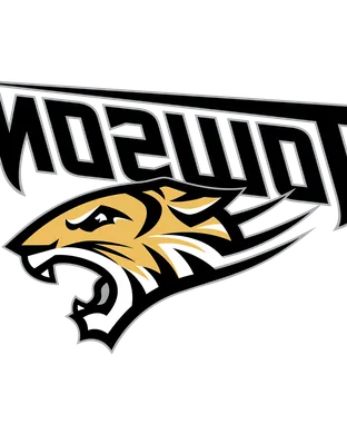 Towson Tigers Towson