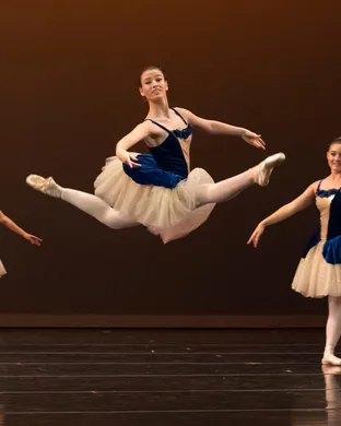 Virginia National Ballet Manassas
