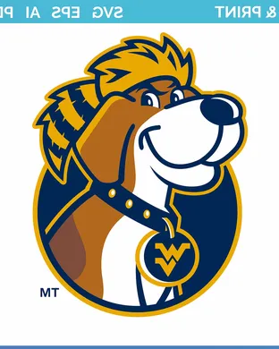West Virginia Mountaineers Morgantown
