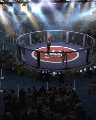 UFC Freedom 250 Fan Fest Washington