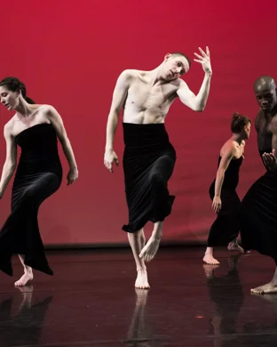 Riverdance 30 - The New Generation Vienna
